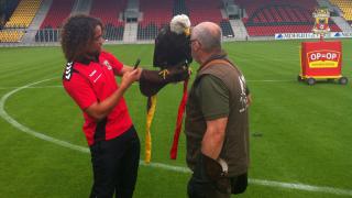 Deel 1: Go Ahead Eagles